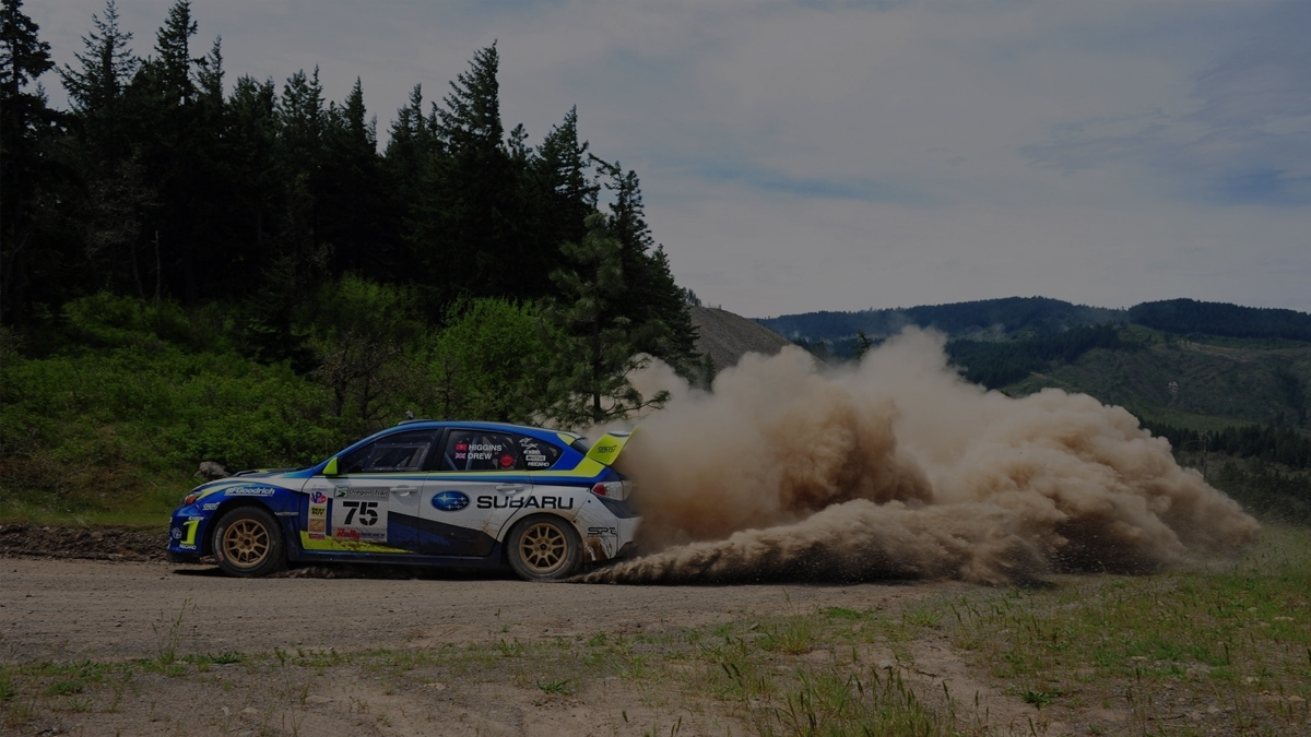 CarX Rally - Free Resources Guide