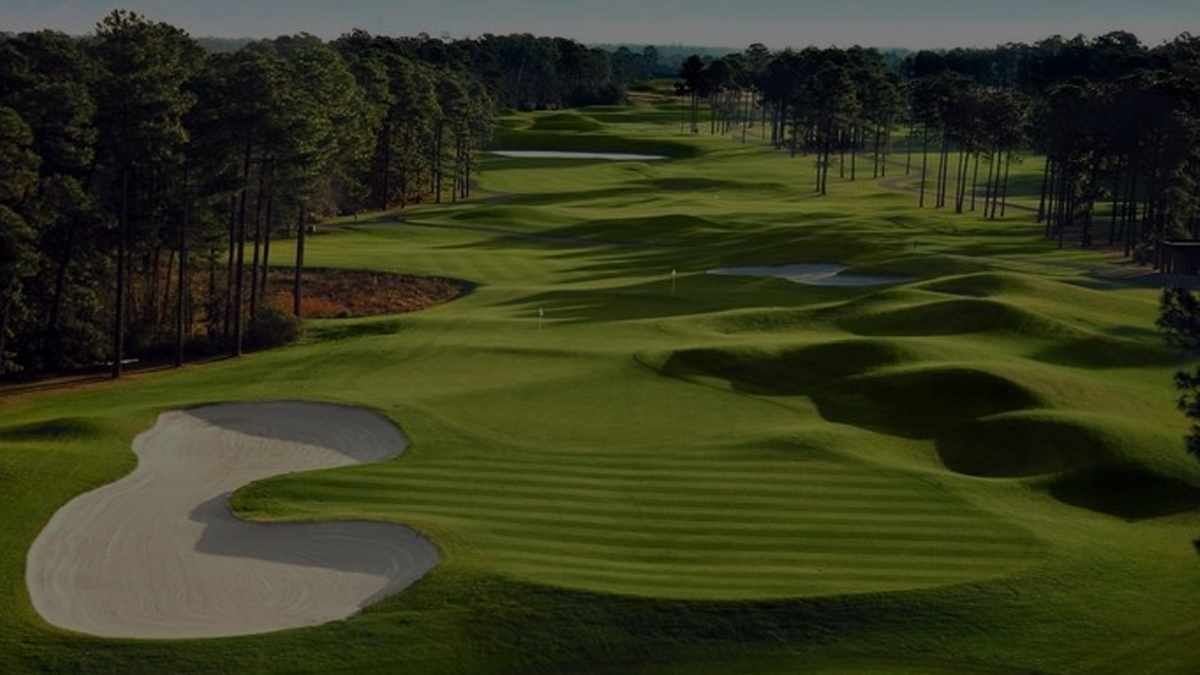 Ultimate Golf - Free Resources Guide