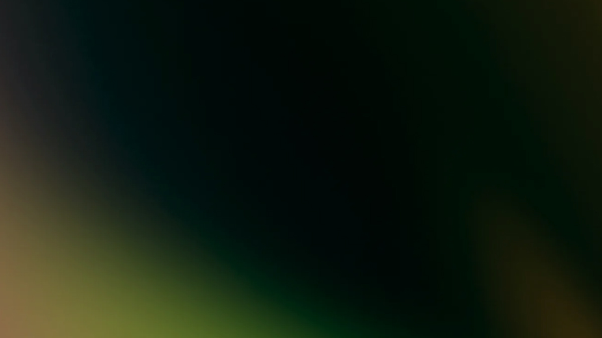 Wizz - Free Resources Guide